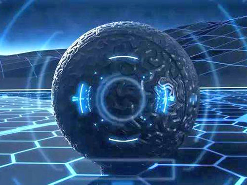 龙口市瑞海食品有限公司-尾片批发-鱿鱼条批发-风琴片批发简介